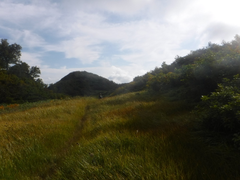 阿寺山山頂手前