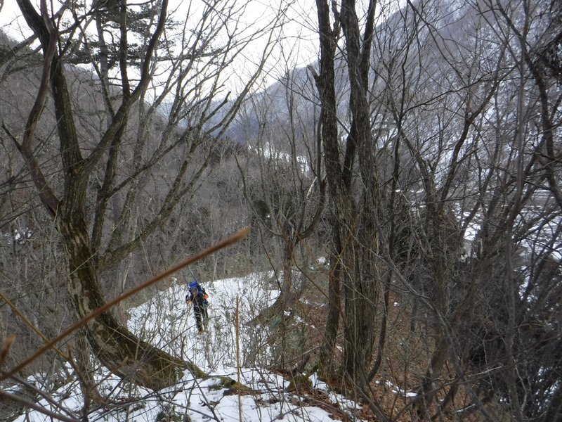 8:20　登山道は無い尾根を登る。境界標識維持のため？、H11年に刈開きとのナタメあり。