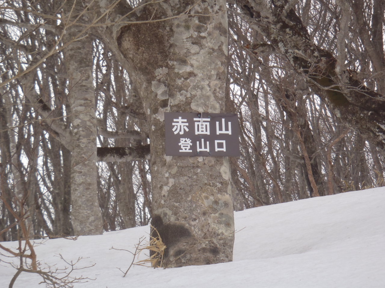 赤面山登山口の標識