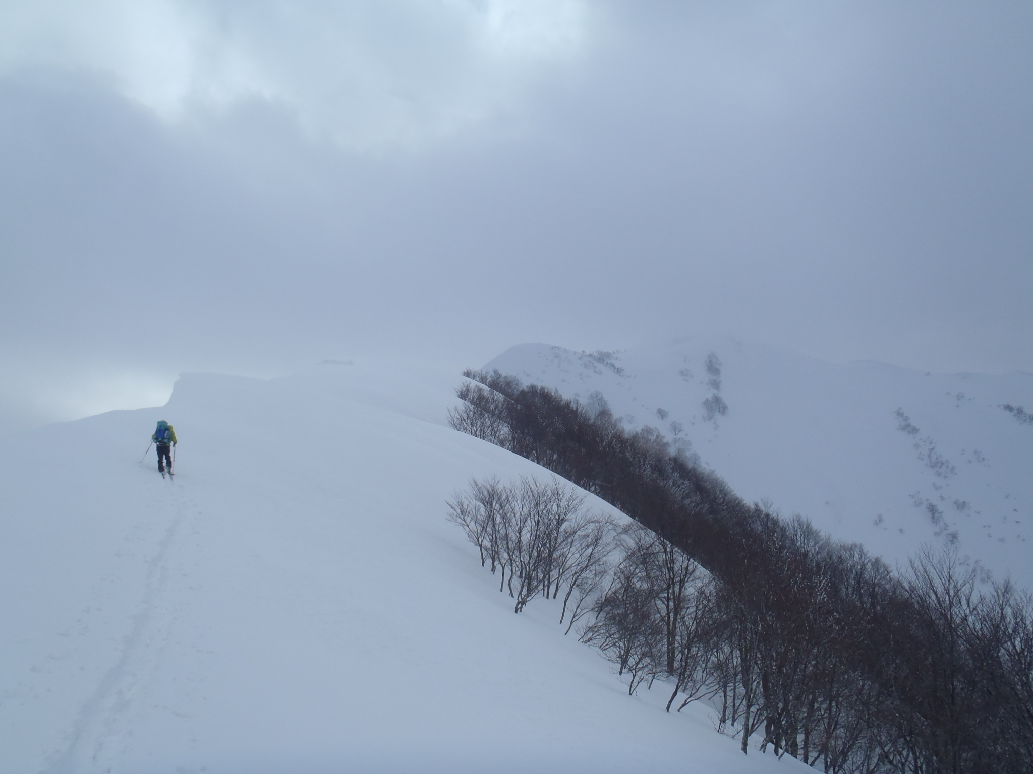 大毛無山への稜線