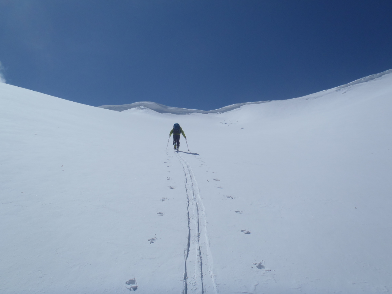 1300_山頂への登高