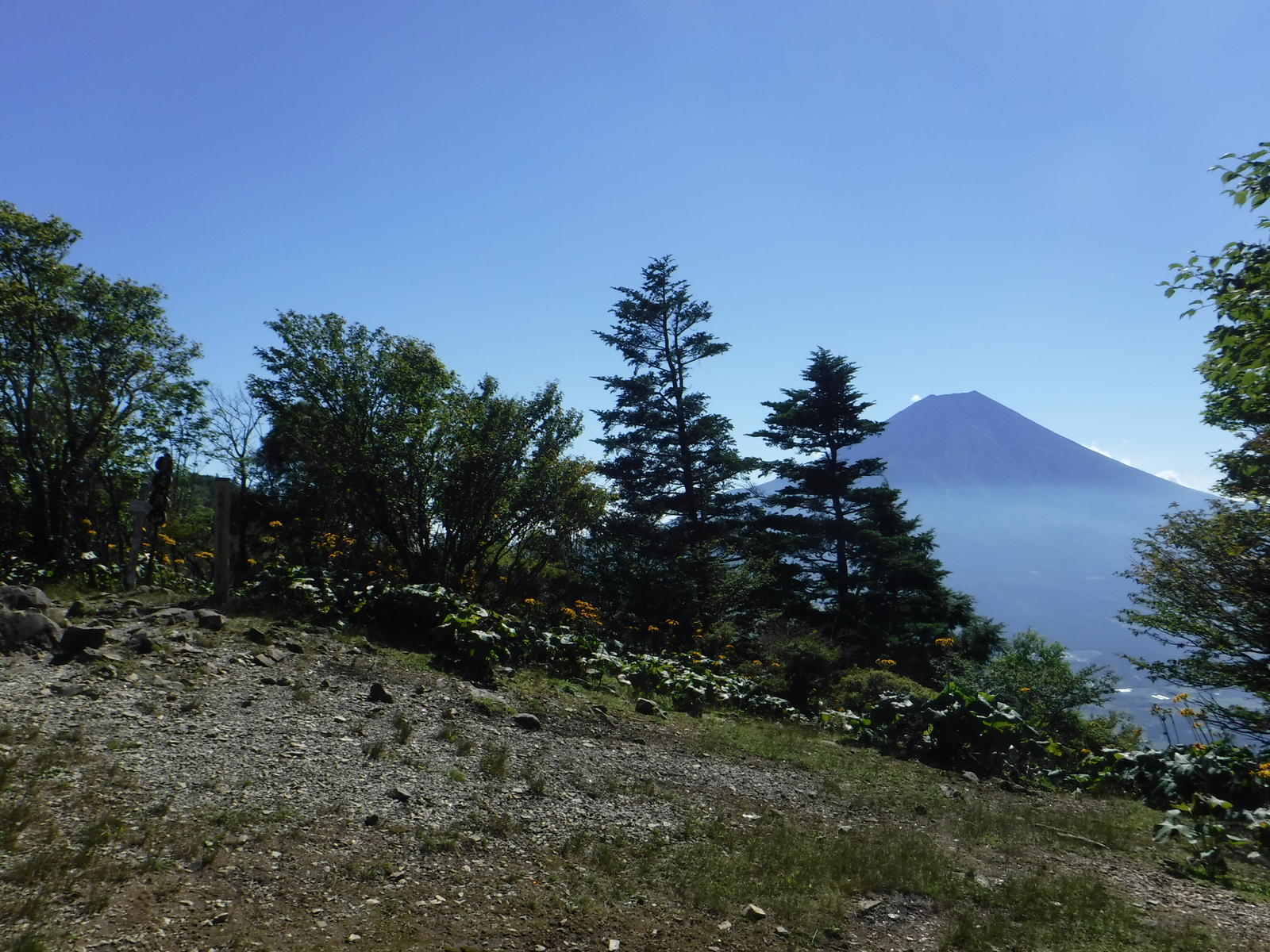 9:10　毛無山山頂