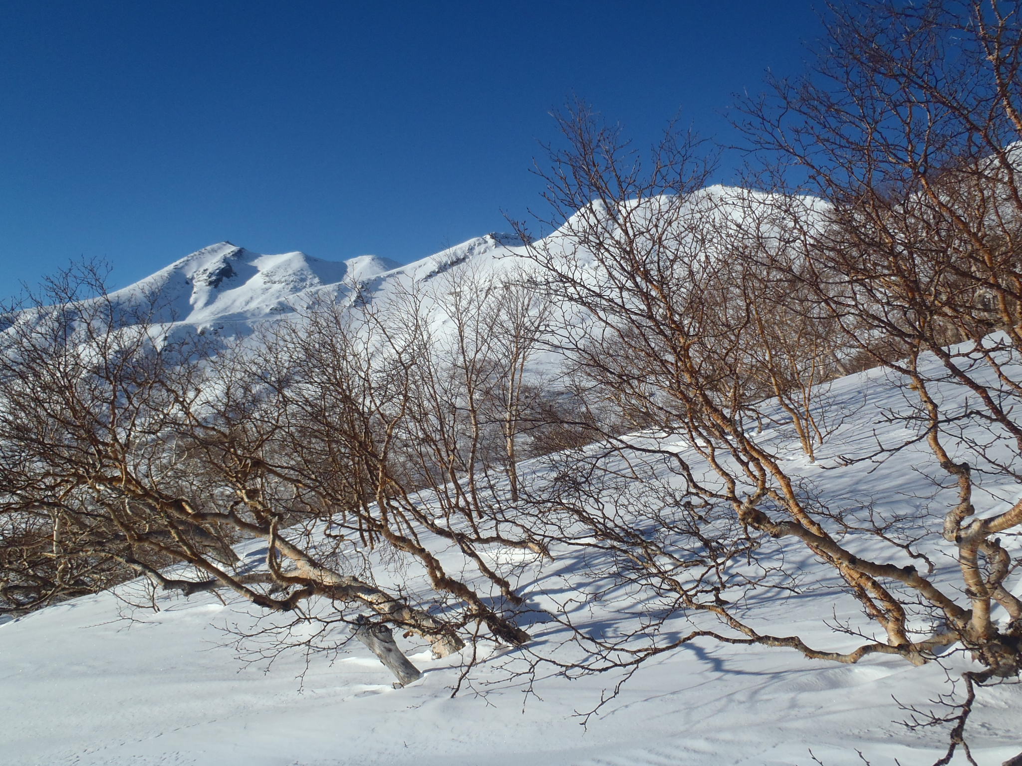 乗鞍主脈(大黒岳東面より)