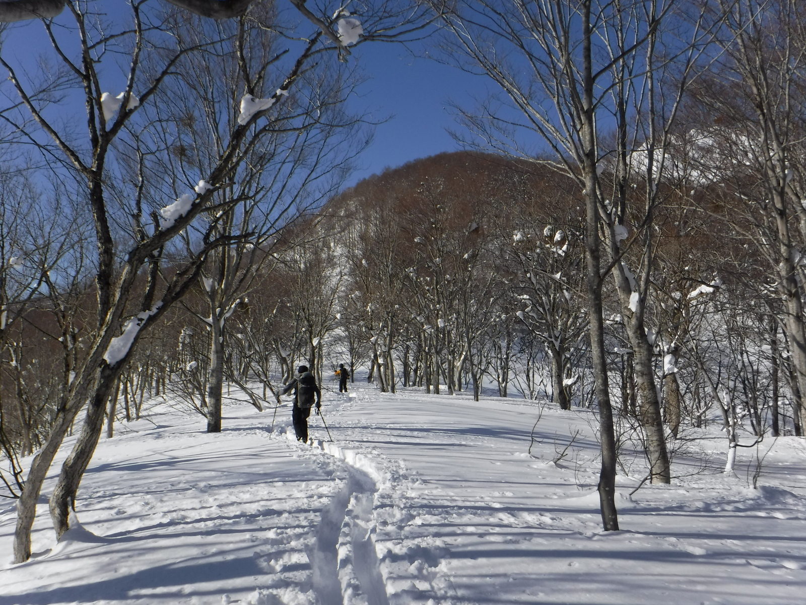 9:00　藤巻山上の稜線