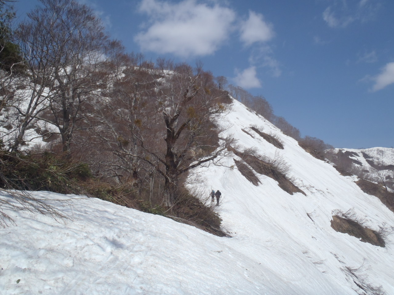 道行山への登路