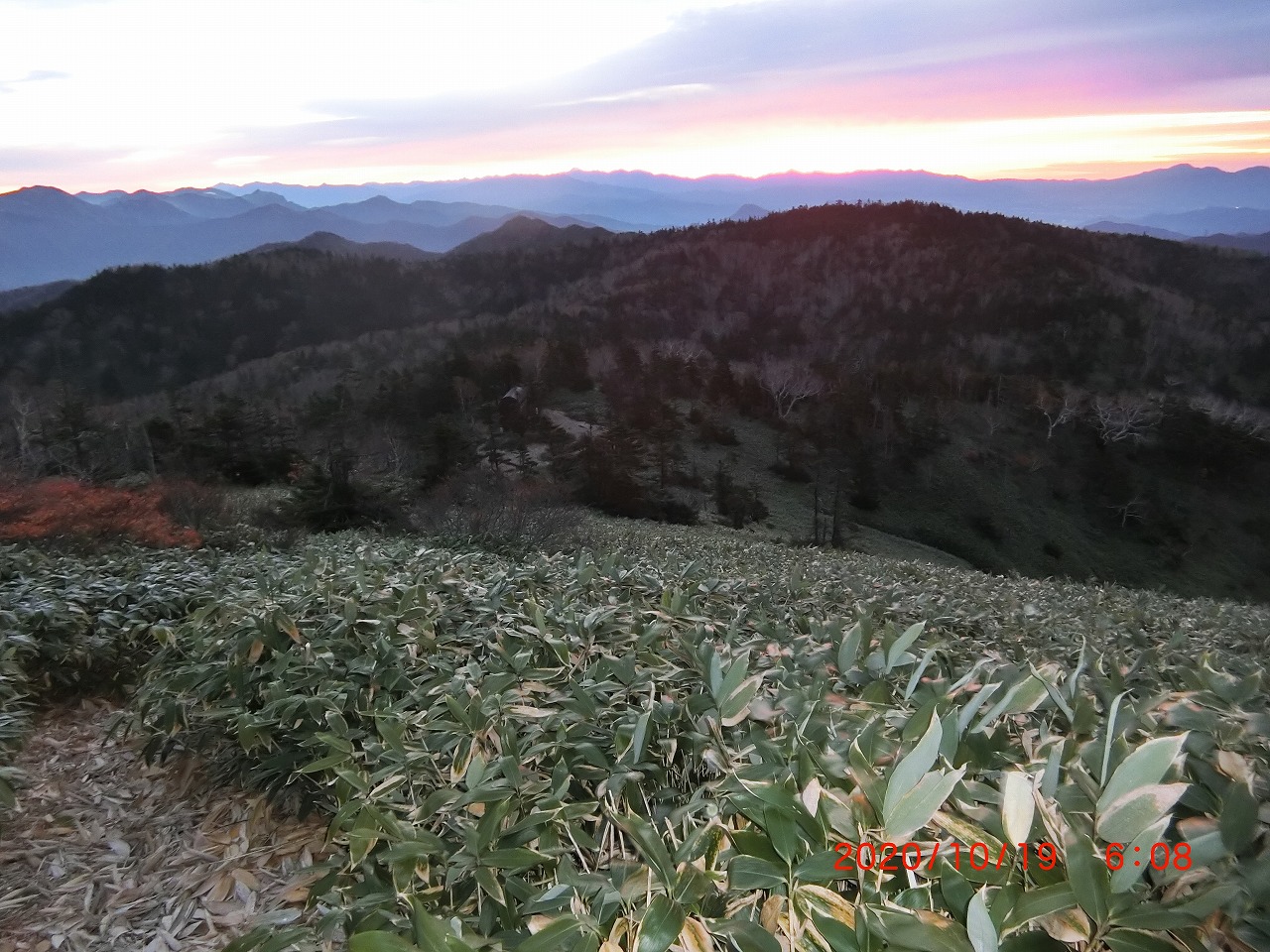 上の倉山の登りから避難小屋を見る