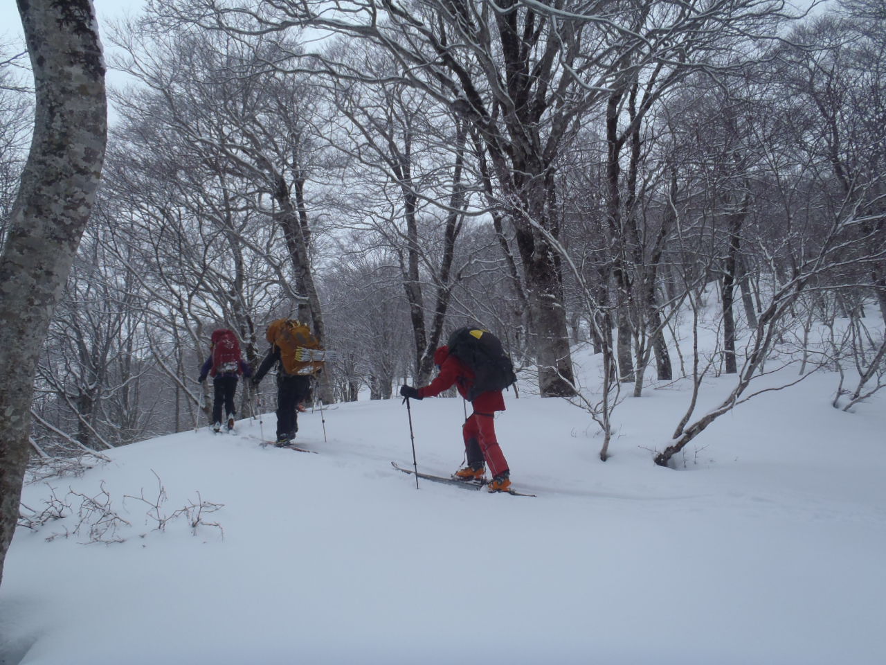 家向山への登路