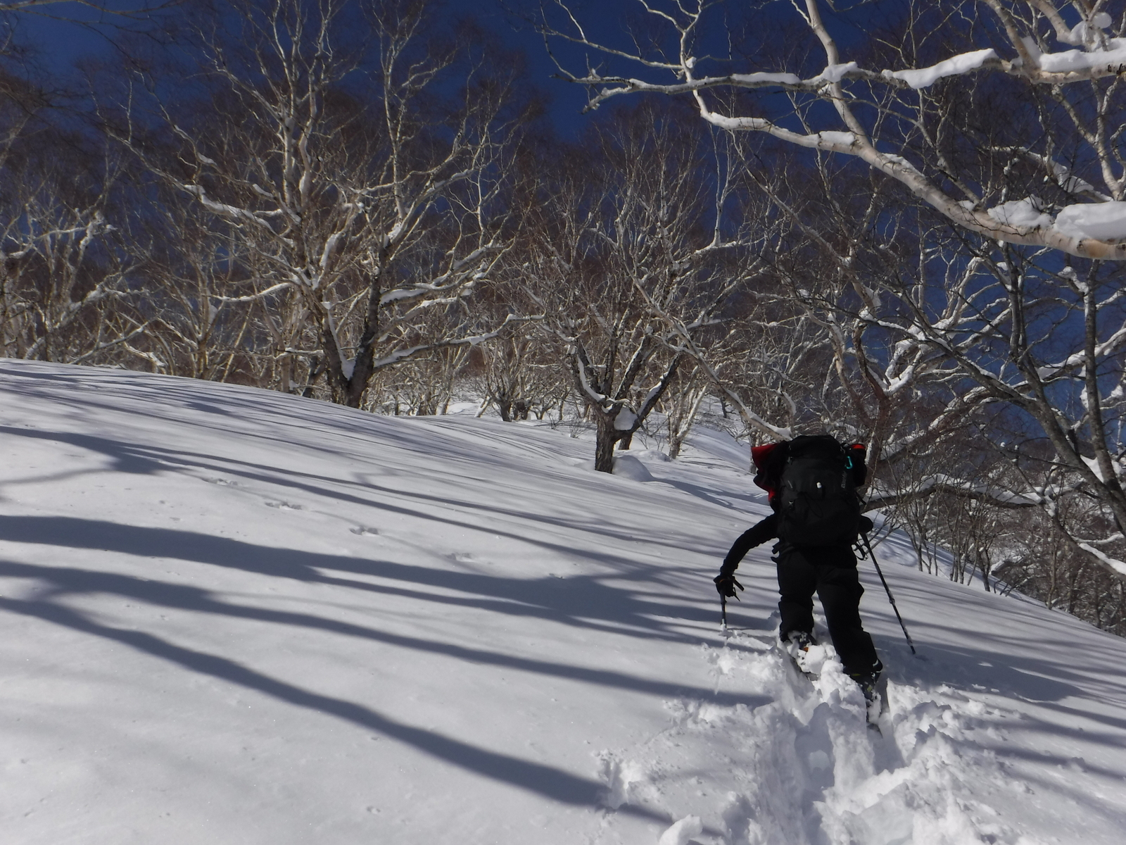 10:50　林道上で斜度が増す、この辺りで雪洞制作