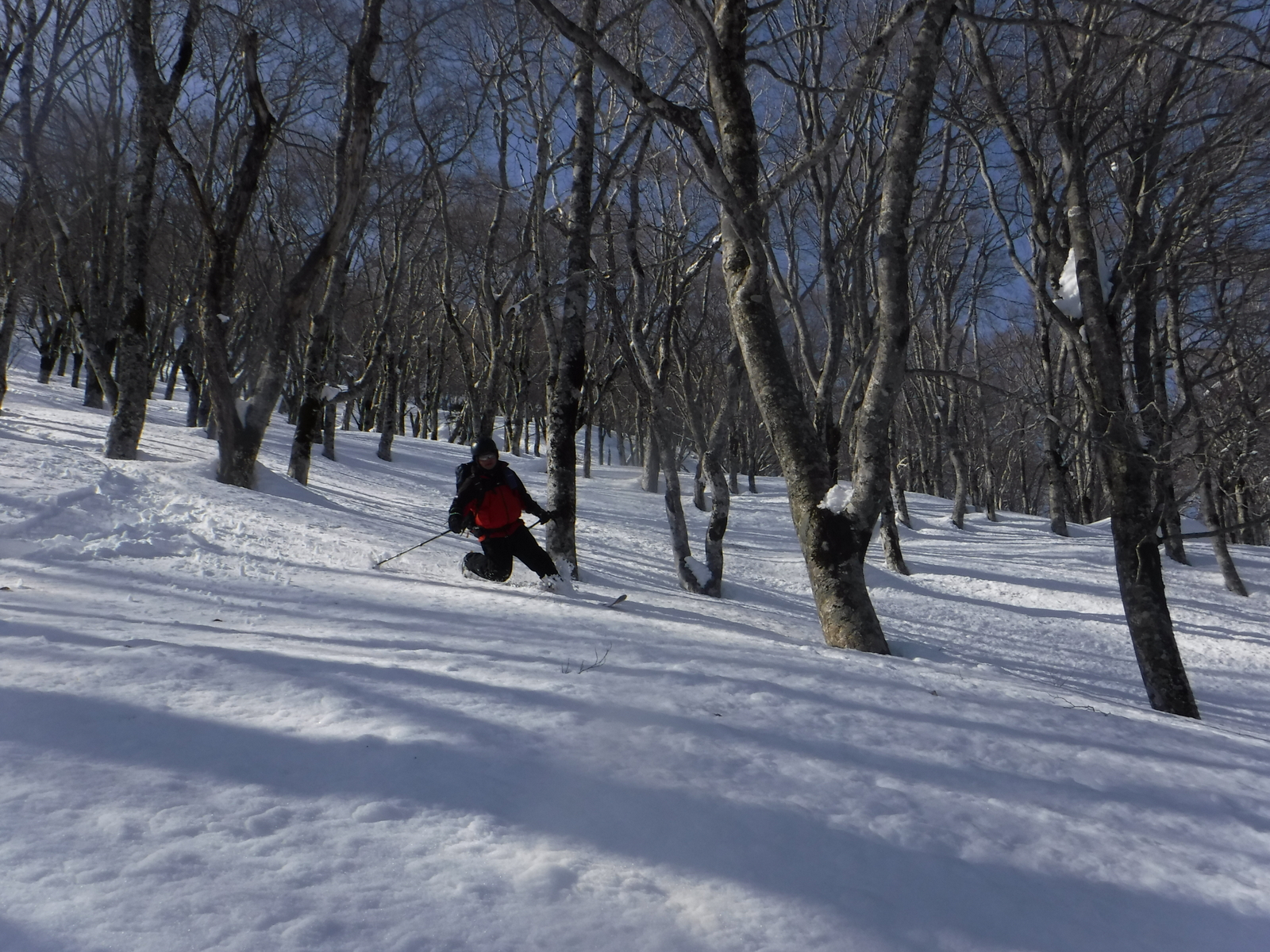 14:10　1750m付近、上部はやや重めの雪だが、楽しい滑り