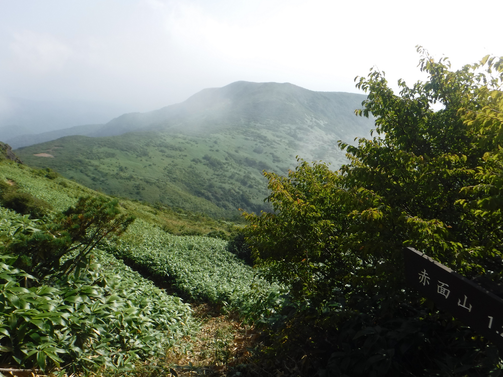 赤面山方面