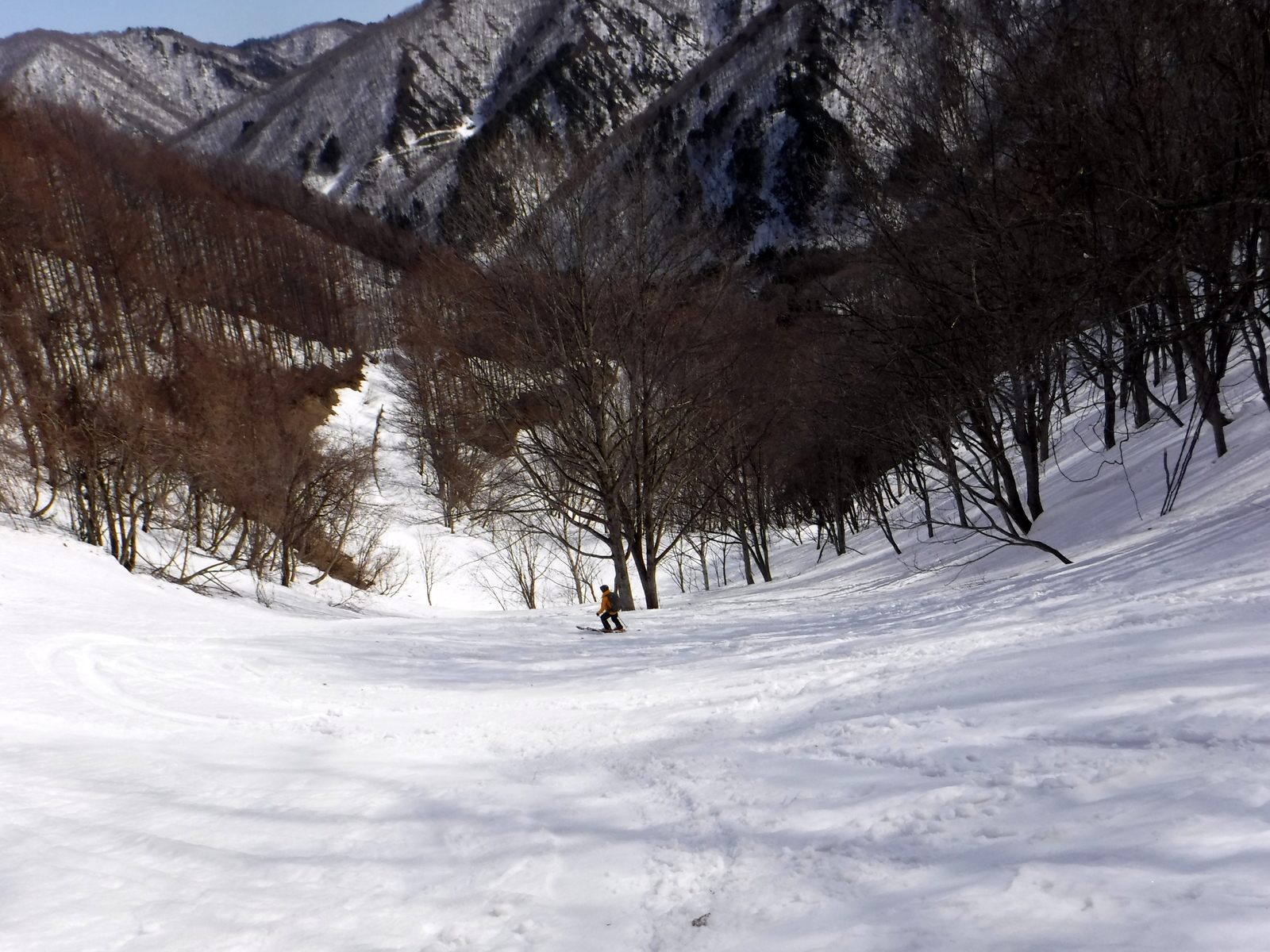 11:50　林道手前　1200m付近　雪はやや重くなってきた