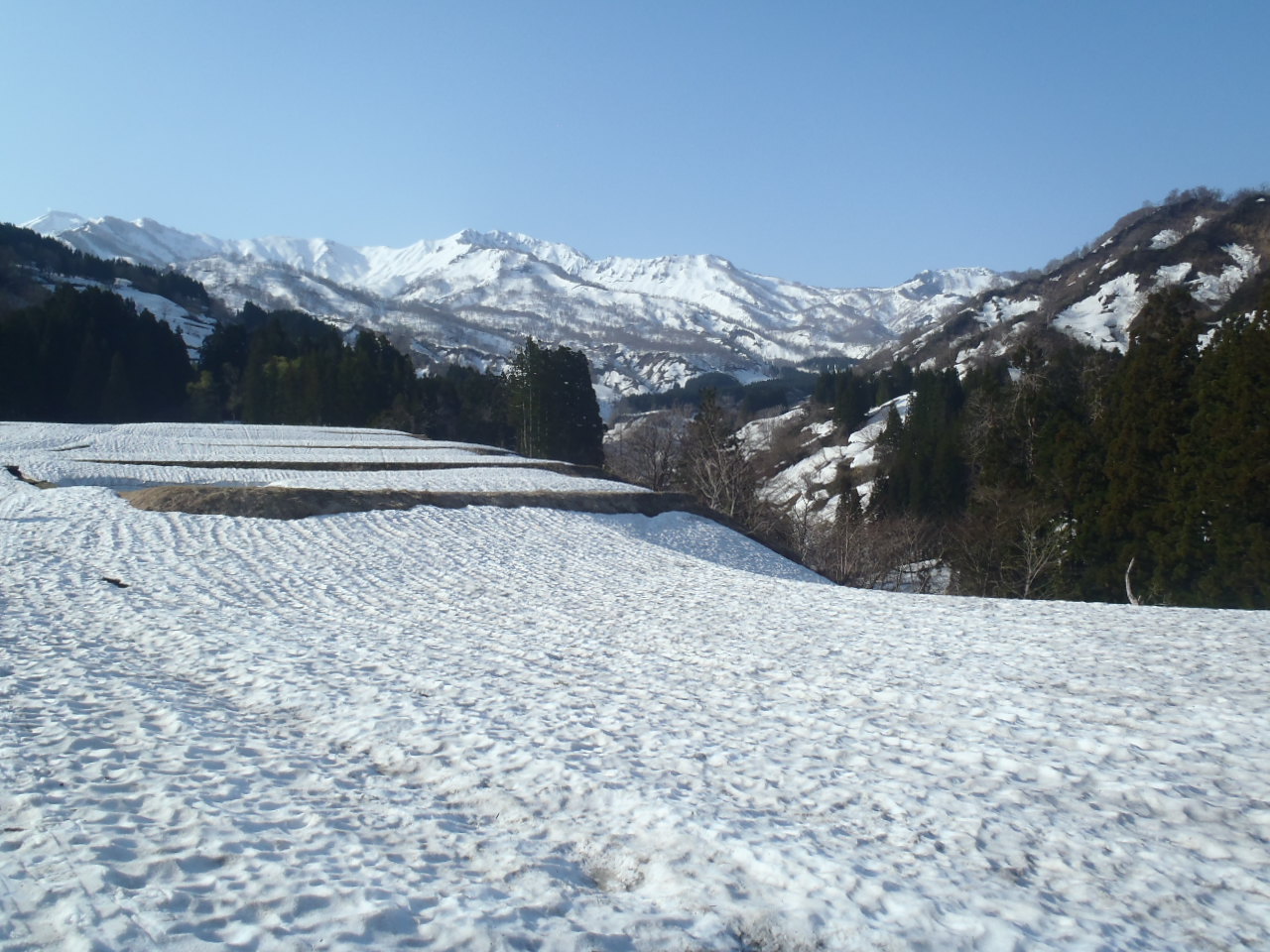 早川左岸