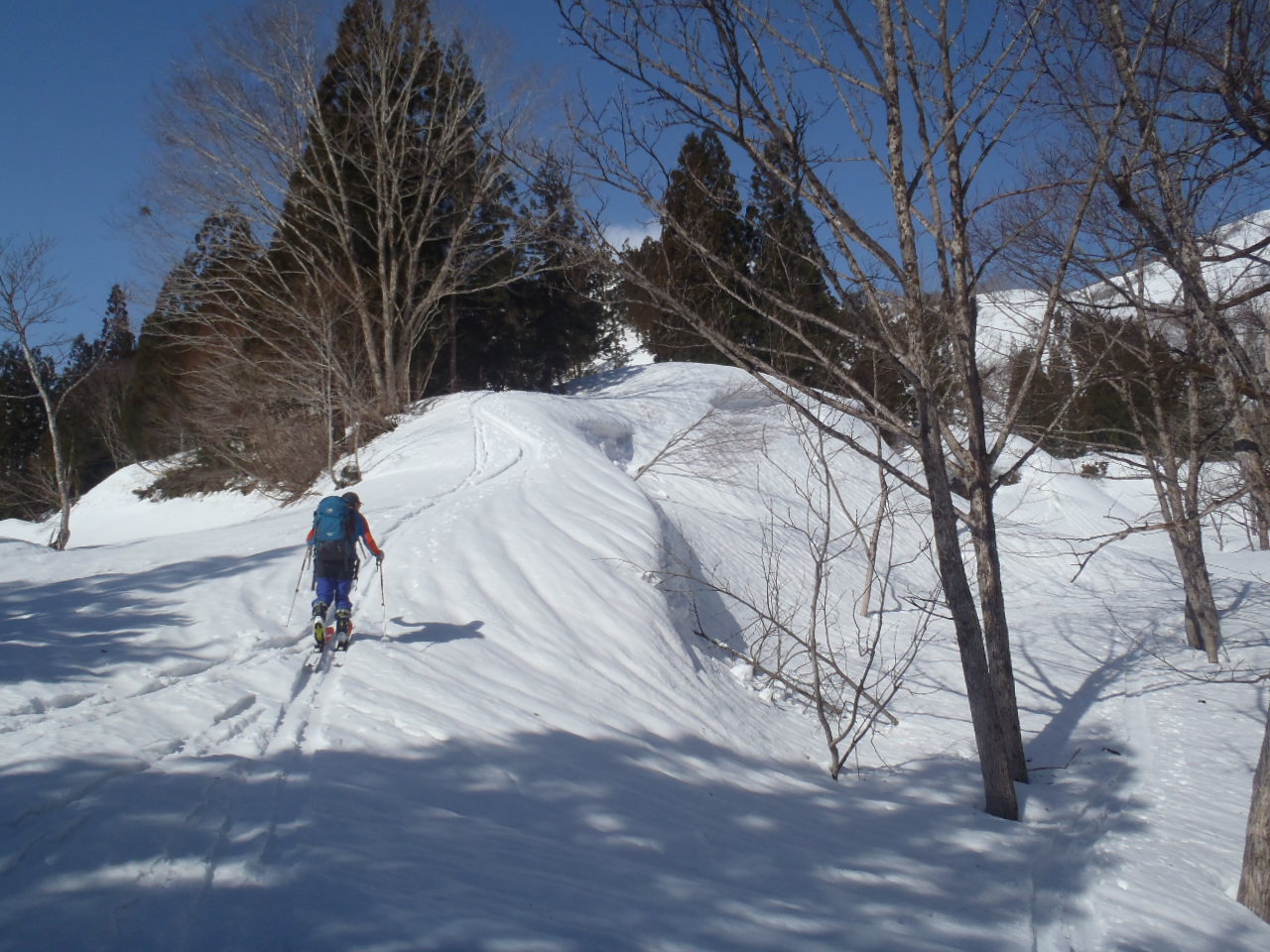 0825_道行山への尾根取付き(柳沢西側)