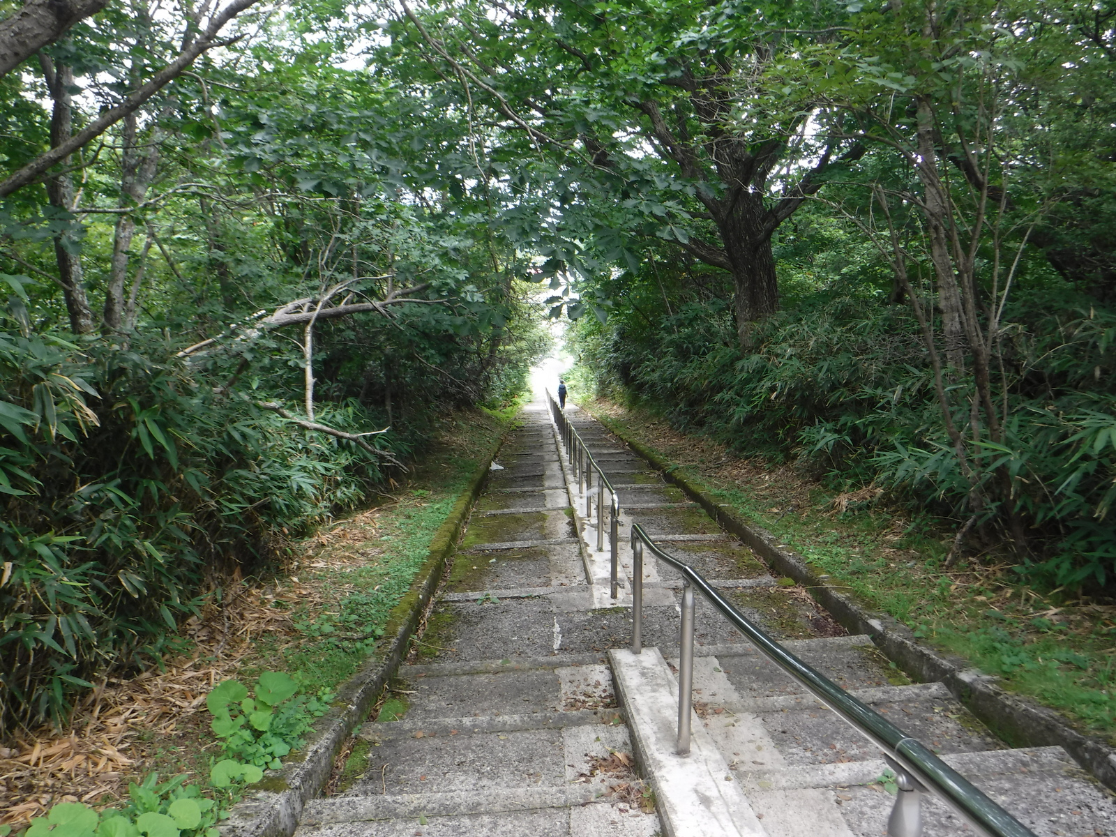 ロープウエー山麓駅から先の、車道沿いの近道