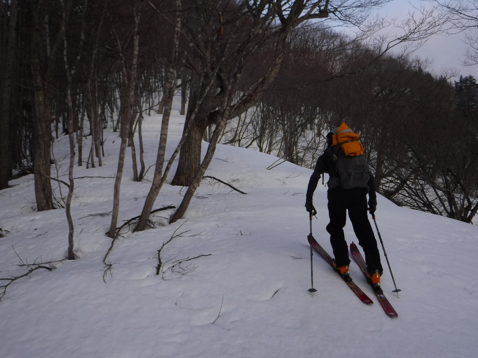 6:20　すぐに雪が出てきてほっとする。1130m