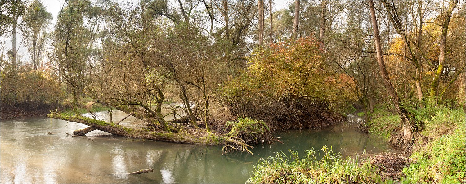 Rheinaue, Baden-Württemberg, 07.11.2014