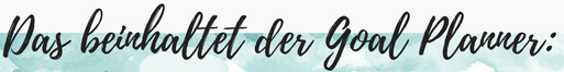 Das beinhaltet der Goal Planner: