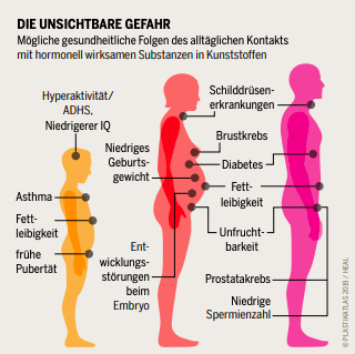 Graphik: Plastik und Gesundheit