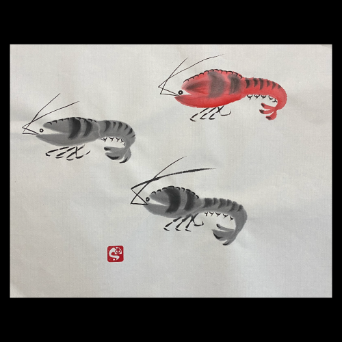 #sachi-studio　#sumi-e　#crustacean　#甲殻類　#shrimp　#海老　#エビ　#prawn　#車海老　#クルマエビ
