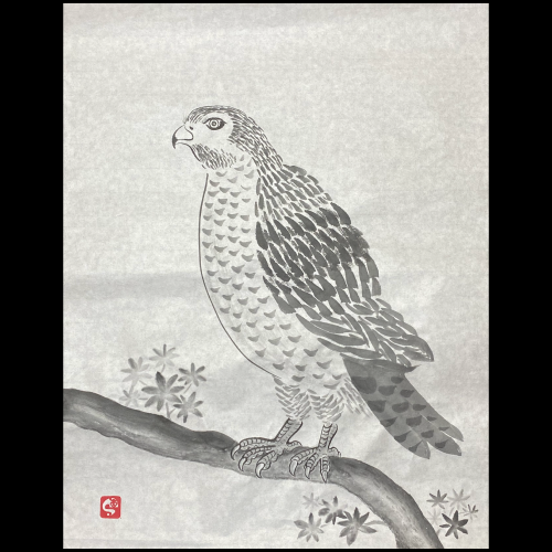 #sachi-studio　#sumi-e　#bird　# 鳥　#hawk　#鷹