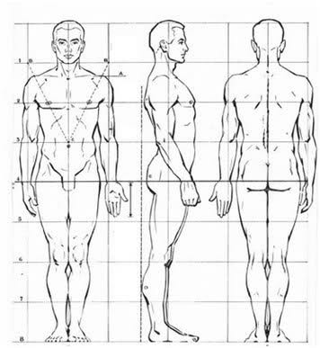 FIGURA HUMANA MASCULINA Y FEMENINA - Página web de ón FIGURA HUMANA MASCULINA Y FEMENINA - Página web de ón