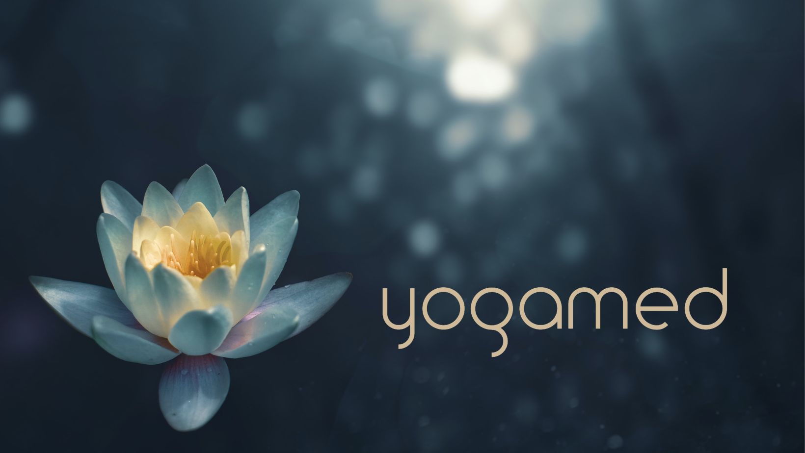 Copyright Yogamed.at (c) Yogamed.at