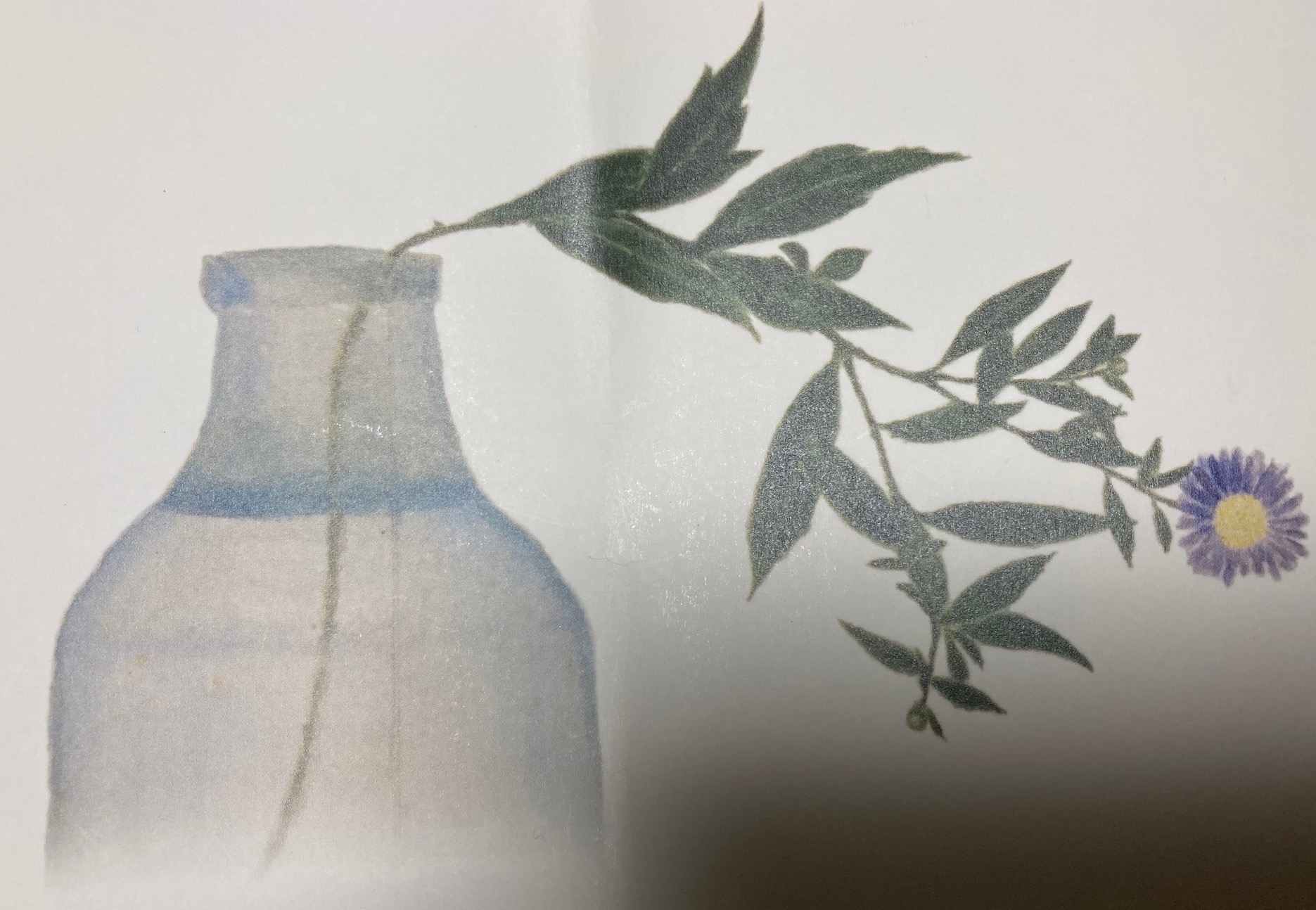 書名 さぶし 著者名 山本かずこ 定価 2300円＋税 発売日2026年6月2日