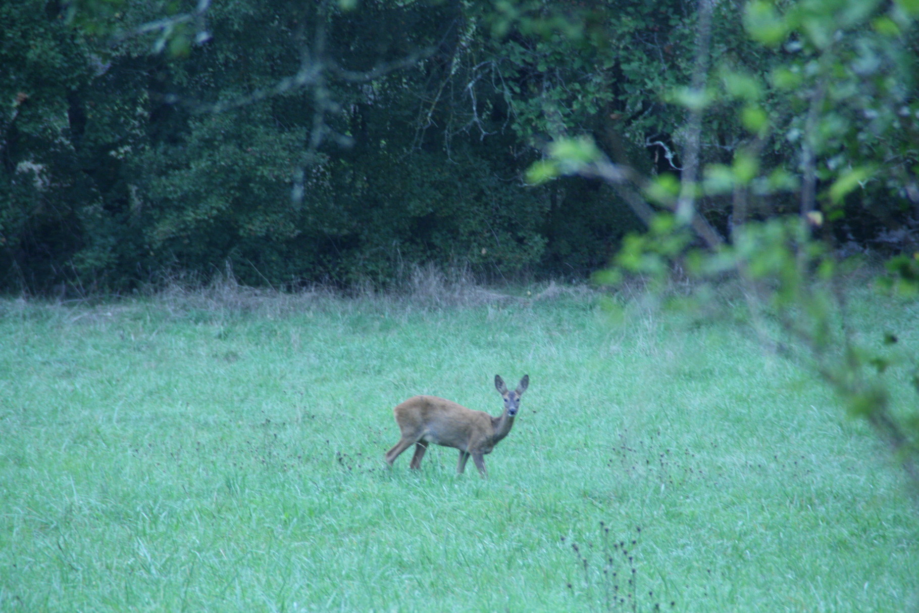 Petite visite de Canelle ...