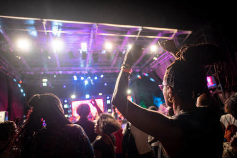 Festival Marie-Galante Terre de Blues © Guillaume Aricique, 2018, Comité du Tourisme des Îles de la Guadeloupe CTIG 