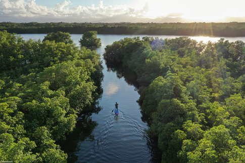 SUP no Riviére Salée, nos mangais © Aeroworx, 2019, Comité du Tourisme des Îles de la Guadeloupe CTIG 