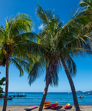 Plage près de Bouillante © Guillaume Aricique Happy Man, 2018, Comité de Tourisme des Îles de la Guadeloupe CTIG 