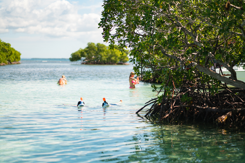 Grand-Cul-de-Sac-Marin Bootsausflug © Clément Chambaud, 2020, Comité du Tourisme des Îles de la Guadeloupe CTIG 