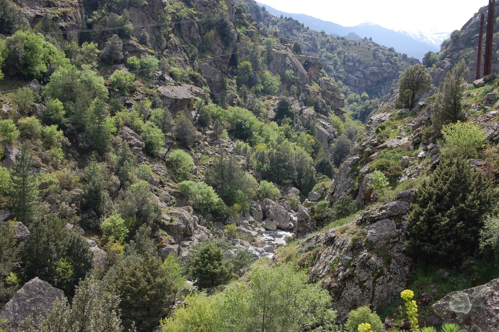 ...et les gorges de Santa Régina