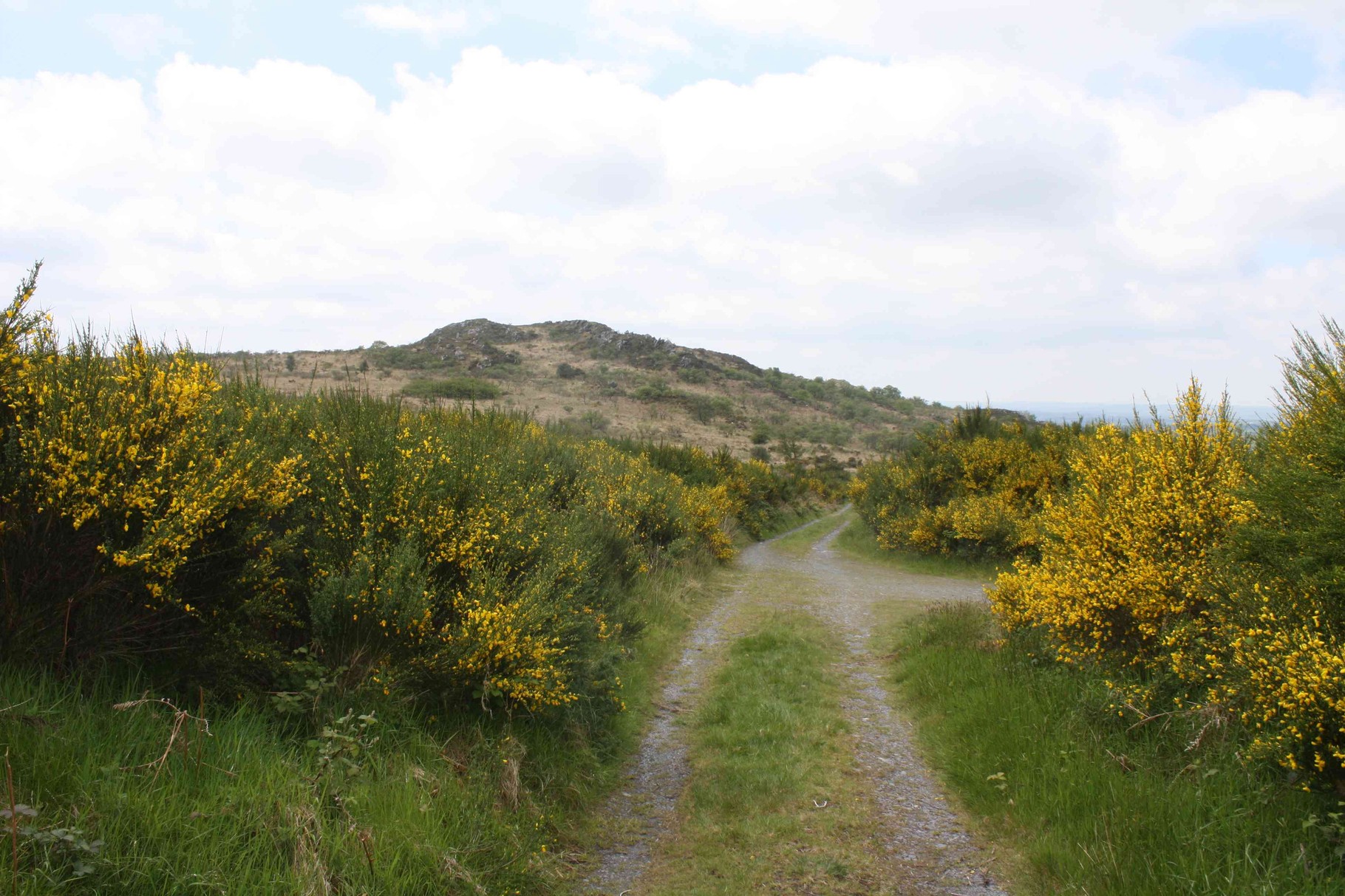 Club de randonnée de Romorantin Sologne - séjour en Bretagne
