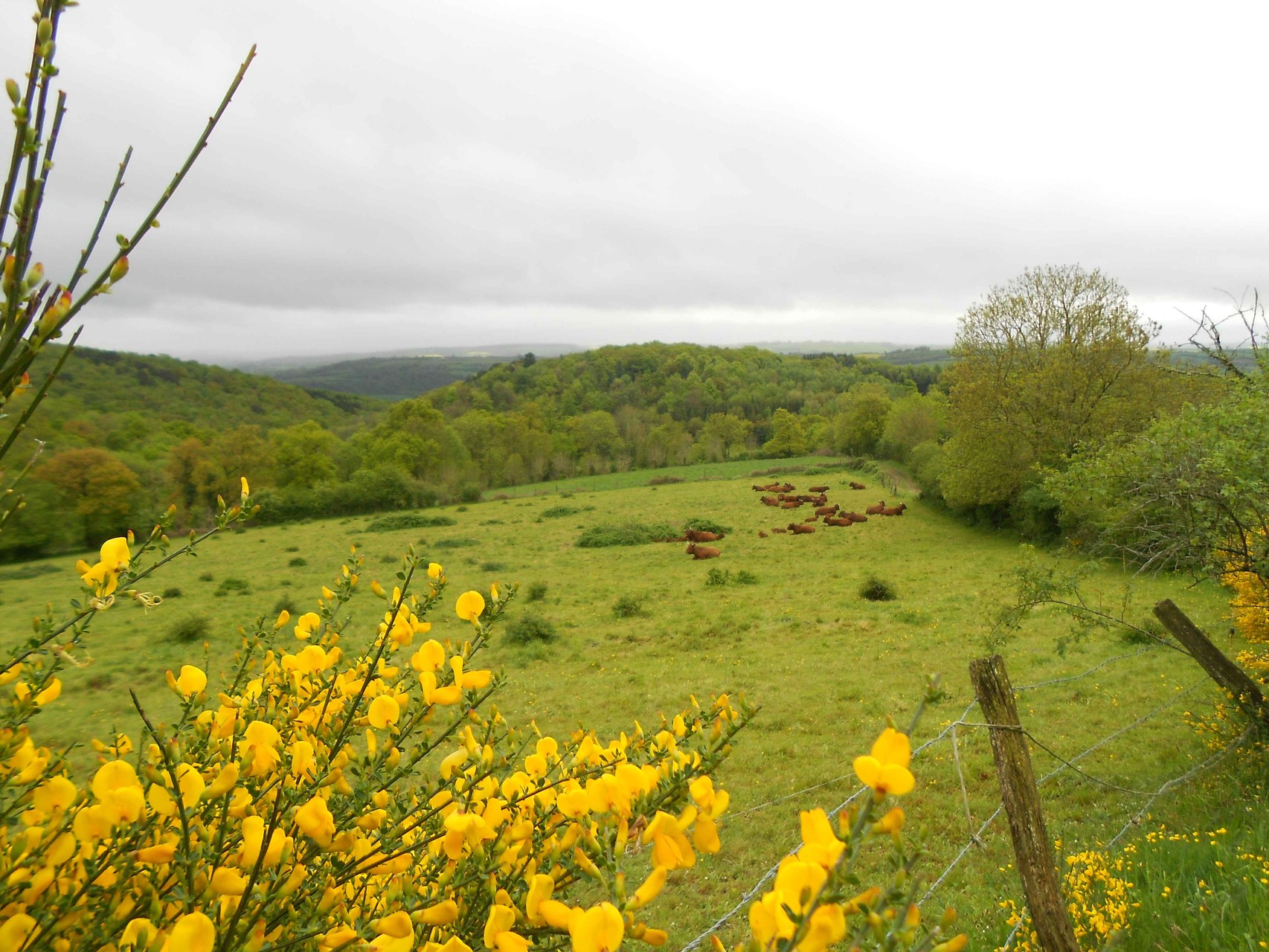 Club de randonnée de Romorantin Sologne - séjour en Suisse Normande