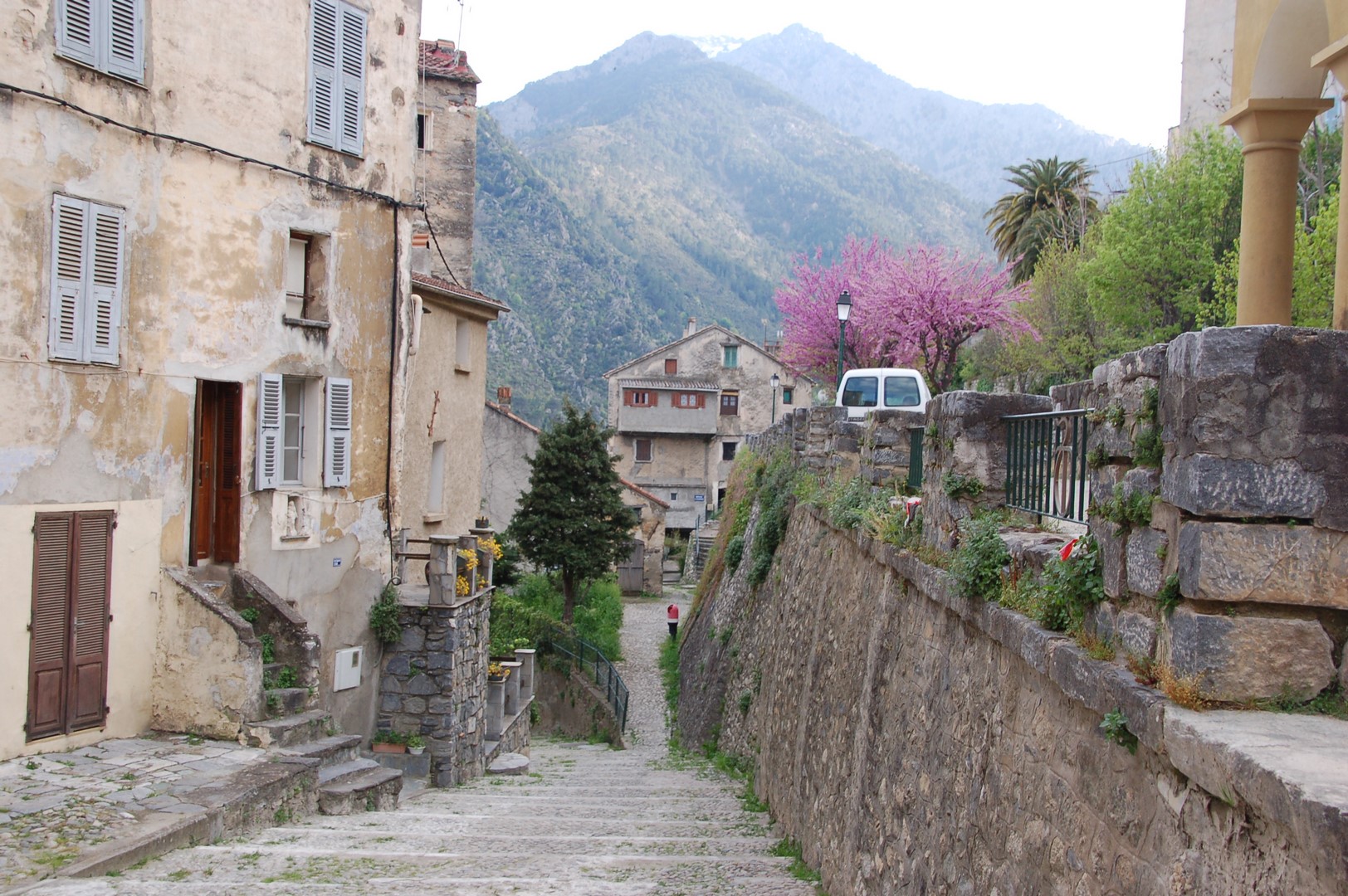 ruelle de Corte