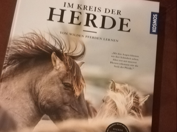 Get Vertrauen pferde sprueche zum nachdenken For iPhone Free