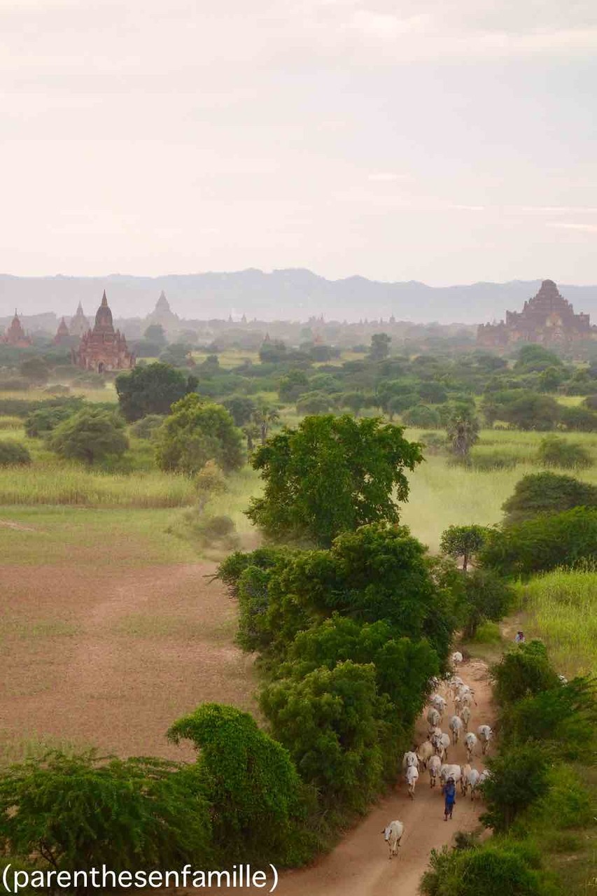 Bagan au couché de soleil, sans soleil