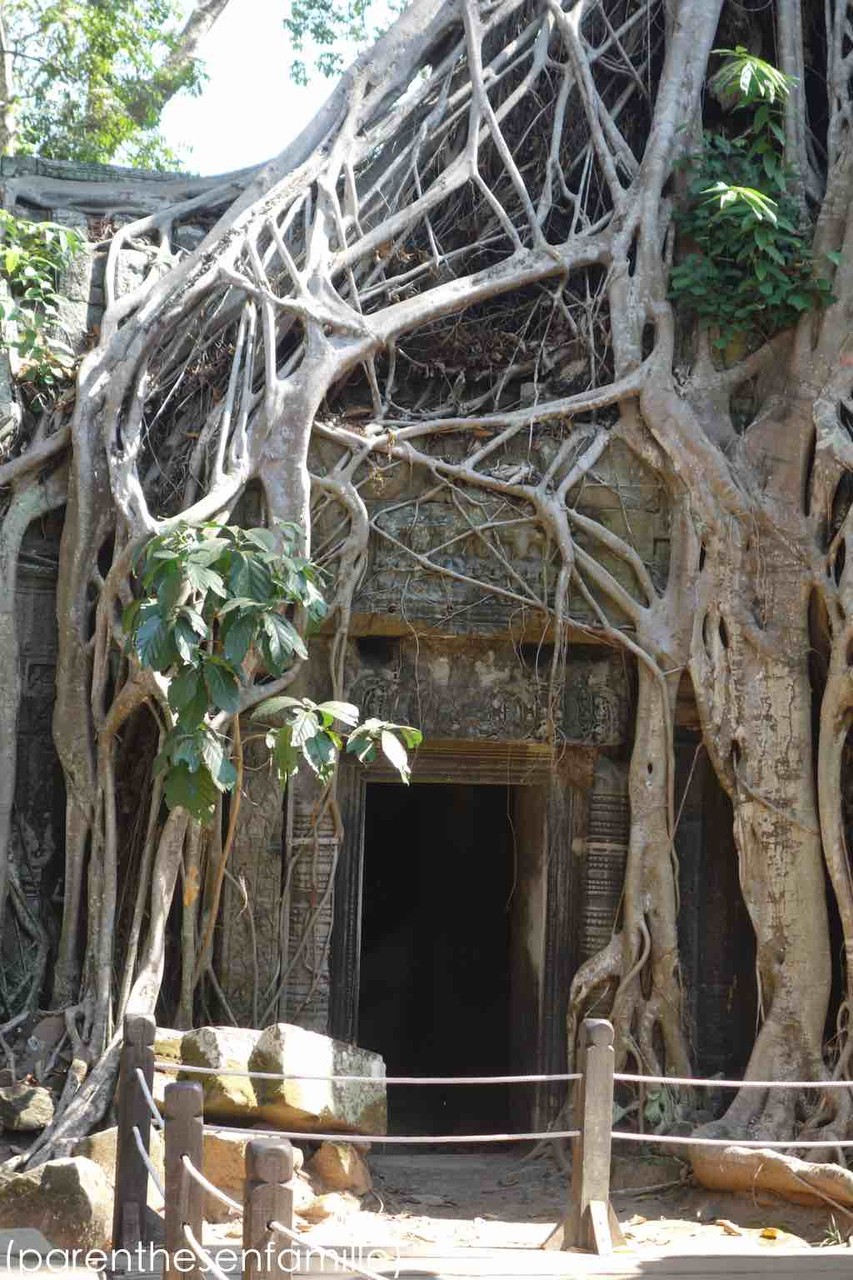 Ta Prohm