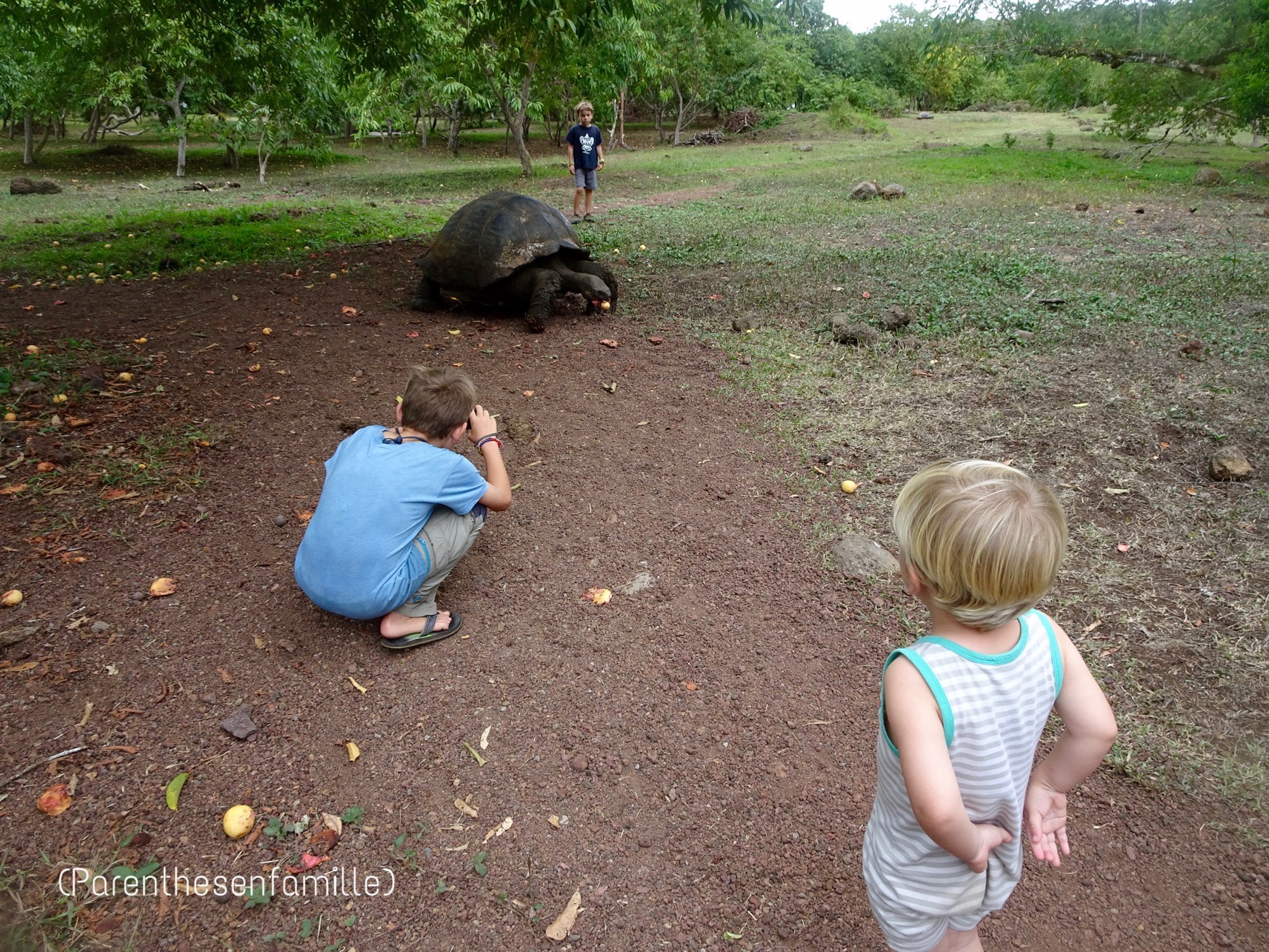 El Chato et les tortues géantes