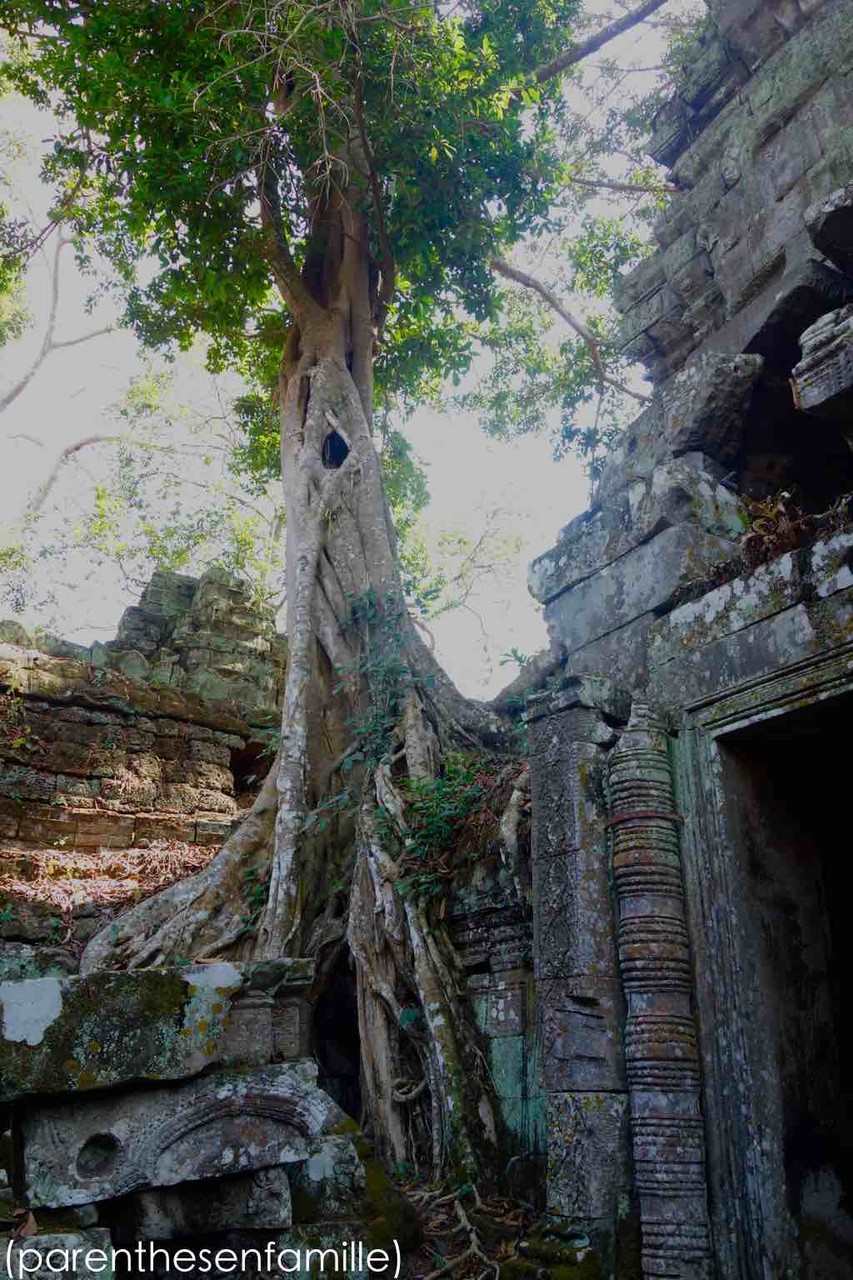 Ta Prohm