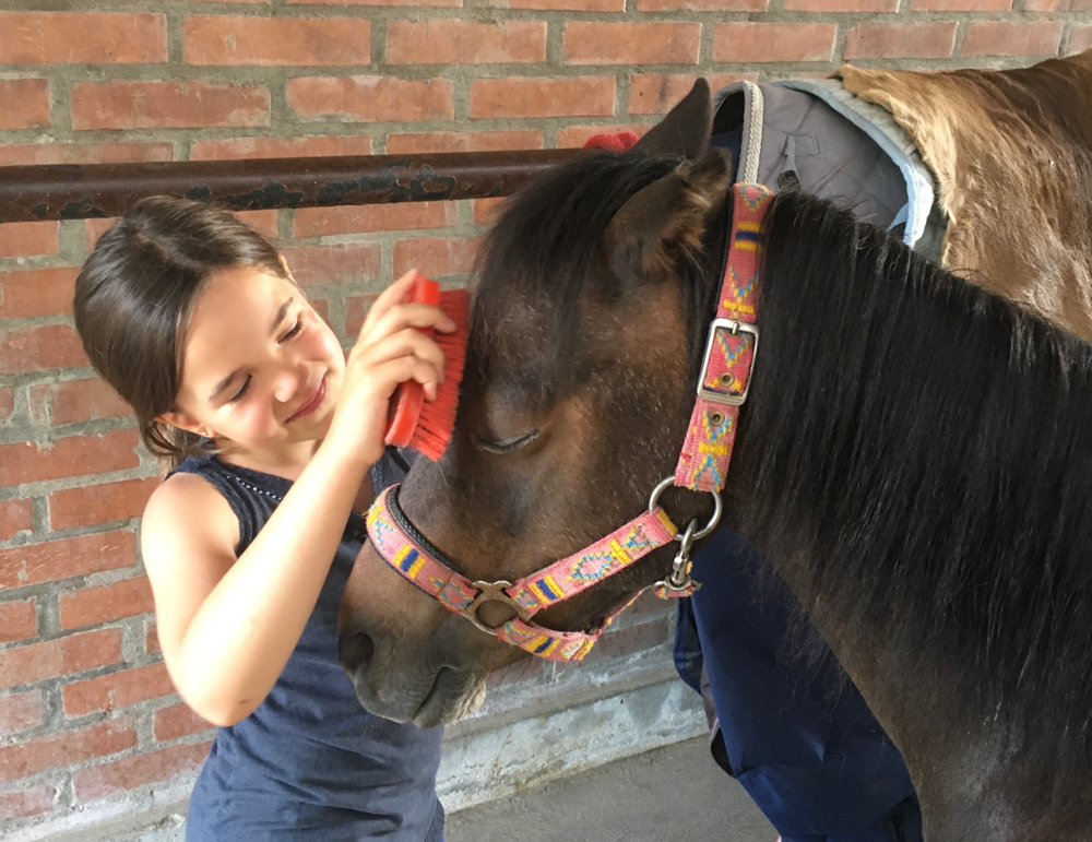 Die Reittherapie wird mit Pferden und Ponys durchgeführt. Es werden der Umgang mit dem Pferd als auch das Reiten therapeutisch genutzt, gemäss den Zielen für die Reittherapie.