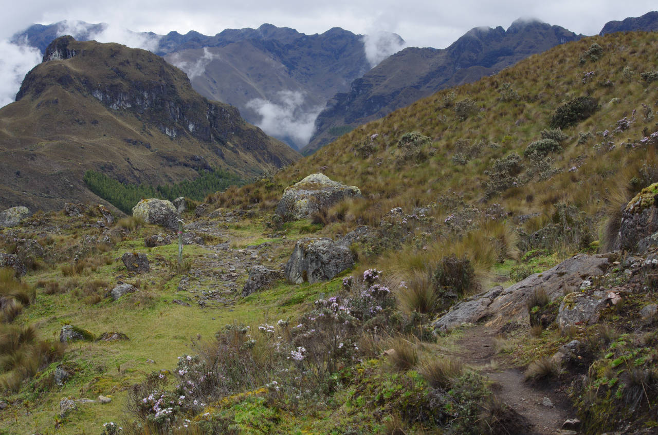 Hochland (Nationalpark Cajas)