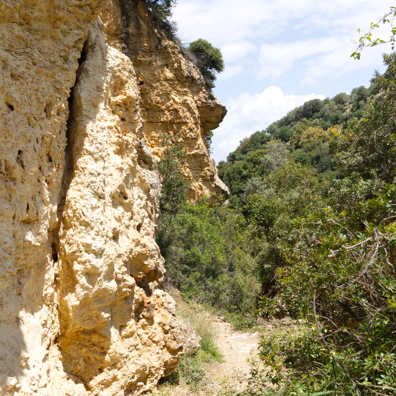 Myli Schlucht