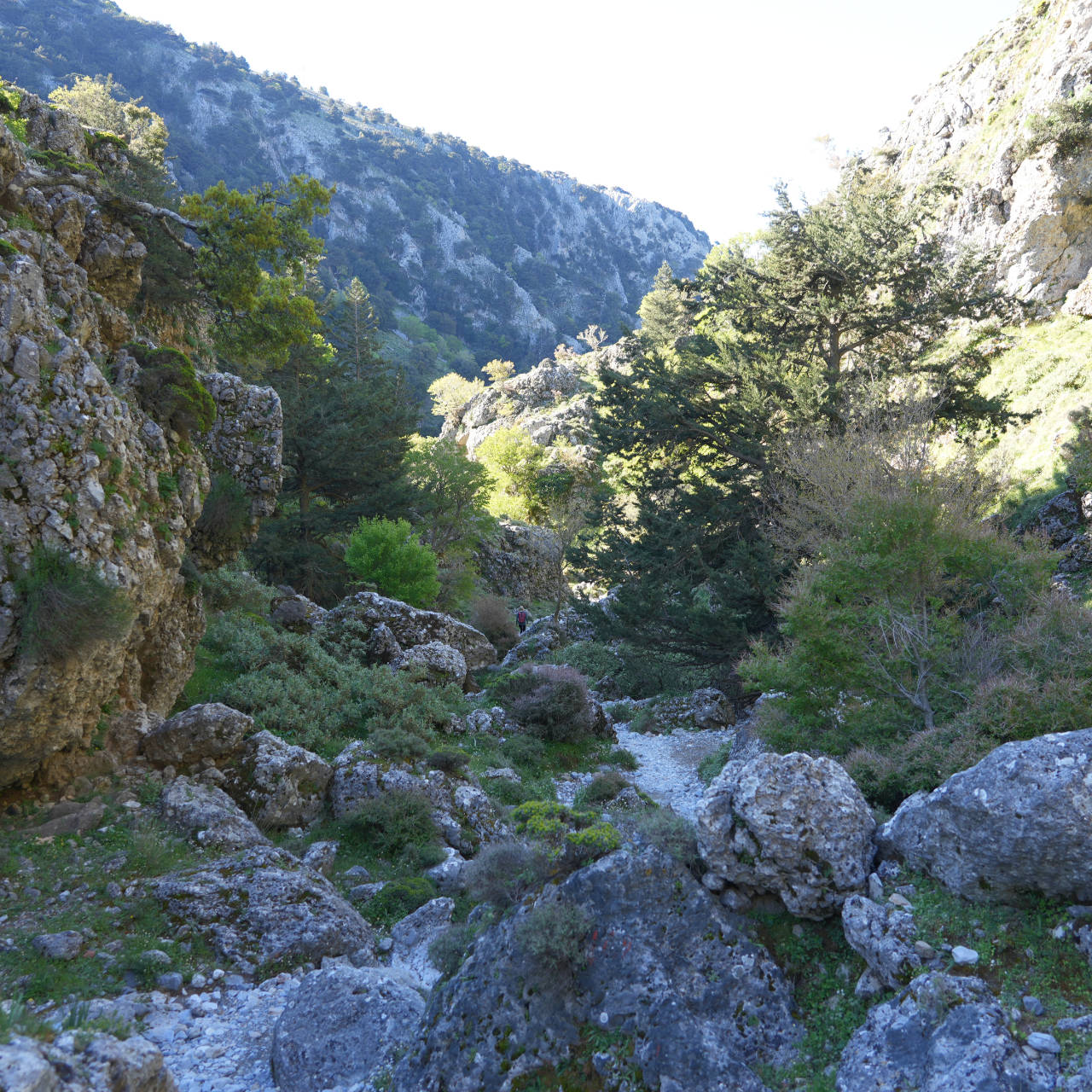 Imbros Schlucht