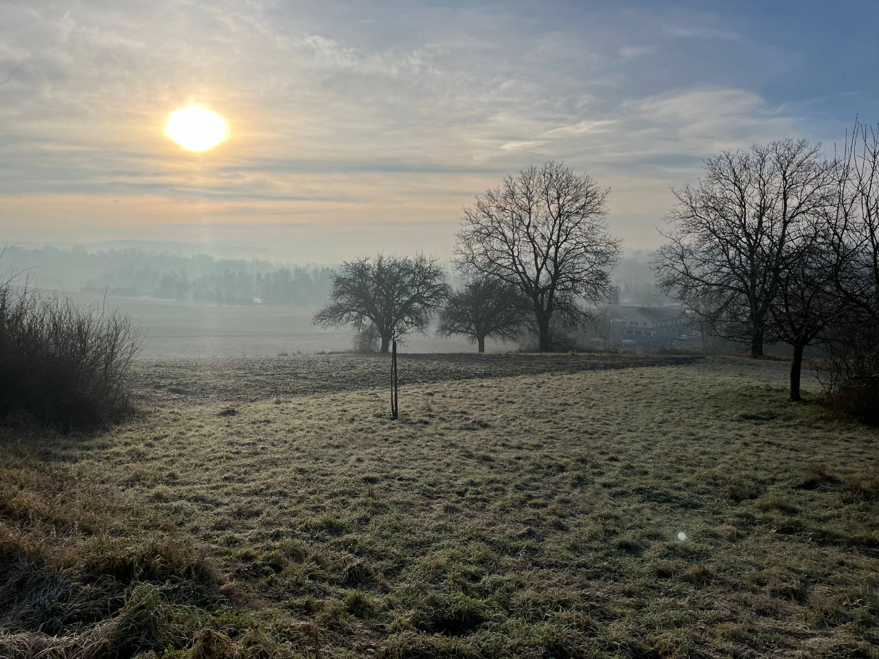 Neujahr (01.01.2025)