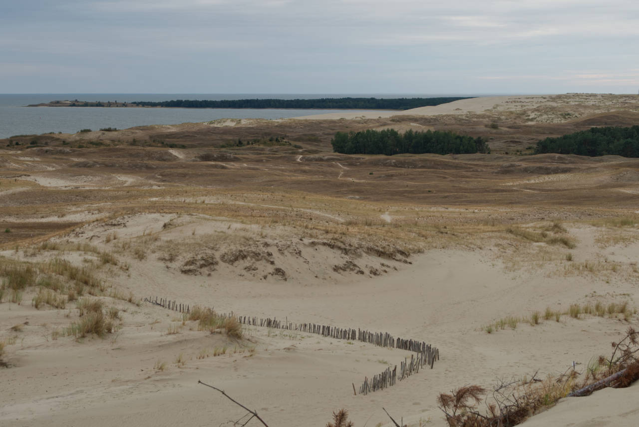 Dünen in der kurischen Nehrung, Litauen