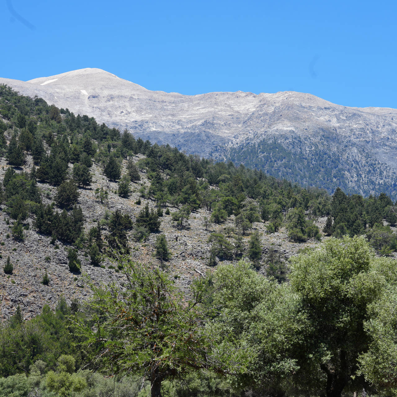 Lefka Ori
