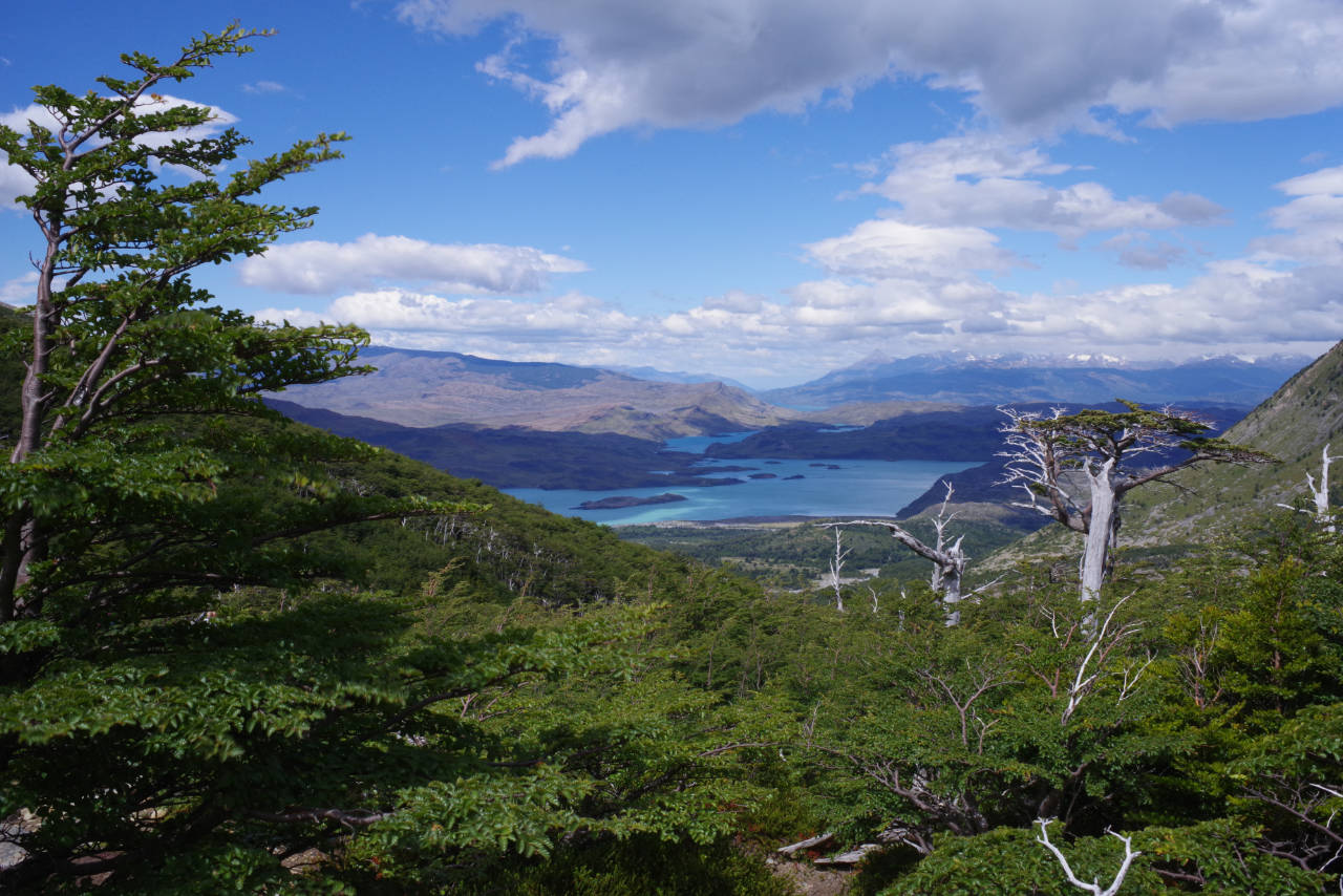 Landschaft am Torres del Paine