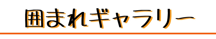 knrigallery ページ！